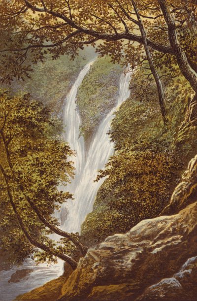 Stock Gill Force by Alexander Francis Lydon